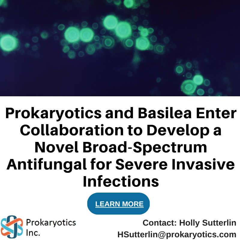 Prokaryotics Novel Antifungal Agent